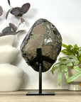 Unique Natural Uruguayan Amethyst Geode Statemen Piece - MWS3167