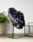 Deep Purple Natural Amethyst Crystal Cluster - MWS2159