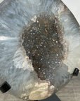 Natural Quartz Geode Crystal - Unique Mineral Display from Uruguay - MWS2889