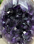 Natural Amethyst Geode with Large & Shinny Crystals - MWS2154