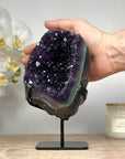 A+ Grade Amethyst Cluster with Stunning Agate Shell - MWS1412