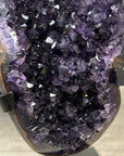 Uruguayan amethyst Geode - MWS2389