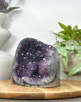 Amethyst Geode with Stalactite Formations - CBP1303