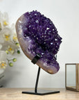 Spectacular Natural Amethyst Specimen with Super Shinny Crystals - MWS1982
