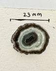 Wholesale Stalactite Slices for Jewelry Making - Bulk Flat Set - STS0061