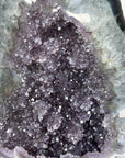 Large Sugar Amethyst Geode with Quartz Shell - MWS0137