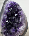 Premium Uruguayan amethyst Geode with Agate Shell - MWS2435