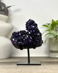 Natural Top Grade Amethyst Stalctite on Stand - MWS3372