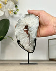 Quartz Geode Slice with Natural Druzy Crystals - MWS2908