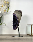 Amethyst Geode with Dark Purple Crystals on Stand - MWS2647