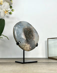 Natural Quartz Geode Crystal - Unique Mineral Display from Uruguay - MWS2889