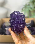 Mineral Specimens Lot - MSLT0231