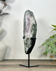 Natural Green Jasper & Quartz Geode Slice Portal - MWS3241