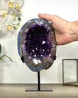 Top Grade Uruguayan Amethyst Geode with Agate Shell - MWS3019