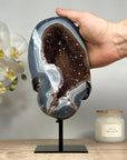 Outstanding Caramel Amethyst & Blue Banded Agate Geode - MWS1426