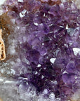 Stunning Amethyst Geode with Pseudo Calcite Formation - MWS1876