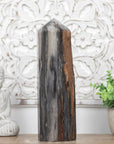 Stunning Large Petrified Wood Obelisk - STP0042