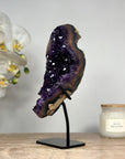 Top Quality Natural Amethyst Cluster with Agate Shell - MWS1414