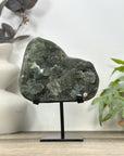 Natural Green Tone Sugar Quartz Specimen - Stand Included - MWS3181
