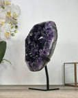 AAA Grade Amethyst Crystal Geode - Large Display Specimen - MWS2937