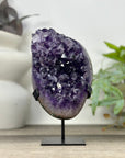 Uruguayan Amethyst Crystal Statement Piece for Home Decor - MWS3309