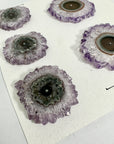 Unique Amethyst Stalactite Slices Set - Natural Crystal for Handmade Jewelry - STS0047