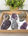 Mineral Specimens Lot - MSLT0194