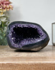 Natural Amethyst & Agate Stone Geode with polished Shell - STGE0001