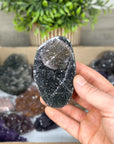 Mineral Specimens Lot - MSLT0118
