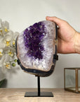 Natural Amethyst Geode with huge Shinny Crystals - MWS1821