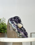 Amethyst Geode Crystal Centerpiece - CBP1169