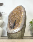 Natural Uruguayan Amethyst Cathedran Cave with tunning Green Jasper Shell - CBP1406