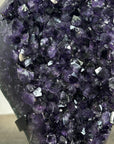 Top Quality Natural Amethyst Crystal Cluster - MWS2223