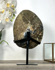 Amethyst Geode with Agate Shell for Home Decor Display