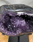 Natural Amethyst Geode with Agate Shell - MWS3096