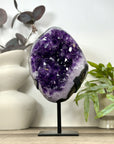 Unique Natural Uruguayan Amethyst Geode Statemen Piece - MWS3167