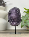 Uruguayan Amethyst Geode on Stand - MWS3303