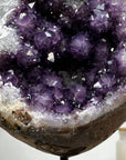 Natural Large Amethyst Geode Full of Stalactite Formations - MWS1420