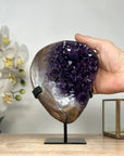 Natural A grade Uruguayan Amethyst Crystal Cluster - MWS1864