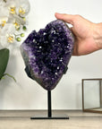 Large Amethyst Geode with Unique Large Crystals - MWS2955