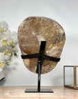 Unique Large Quartz Cluster with Stunning Stalactite Formation - MWS1796