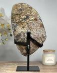 Large Amethyst Geode with Natural agate Shell - MWS1712