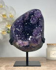 Stunning Amethyst Geode with Stalactite Flowers - MWS1393