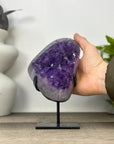 Uruguayan Amethyst Cluster with Large Beautiful Crystals - MWS3334