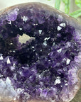 Large Natural Uruguayan Amethyst Geode with Large Crystals - STGE0050