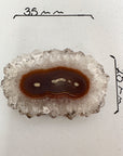 Amethyst & Quartz Stalactite Slices Set - Natural Crystal for Handmade Jewelry - STS0069