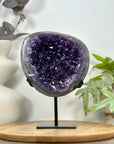 Uruguayan Amethyst Geode on Metal Stand - MWS3105