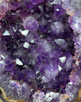Natural Amethyst Geode with Large & Shinny Crystals - MWS1835