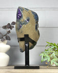 XXL Unique Natural Top Quality Amethyst Geode Statement Piece - MWS3282