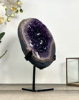 Amethyst Crystal Geode with Natural Agate Shell - MWS2796